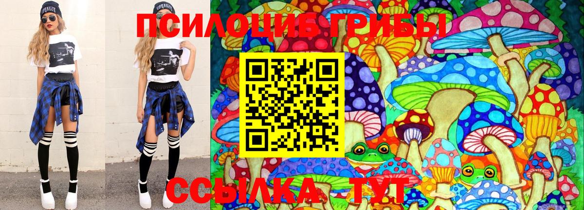 Псилоцибиновые грибы мухоморы Сертолово