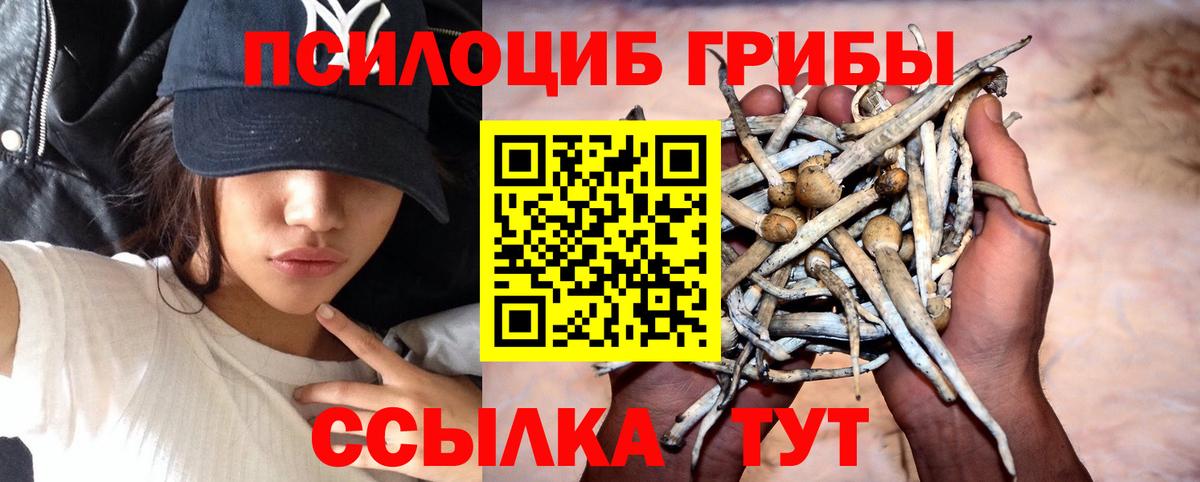 Сертолово  Псилоцибиновые грибы мухоморы  закладка  Вход с VPN 