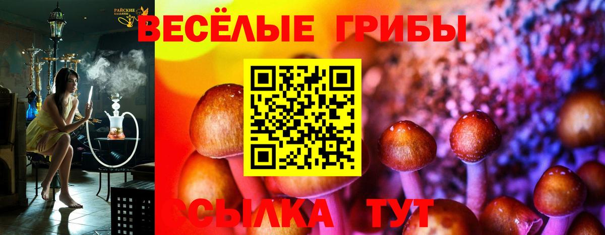 Бошки Шишки Сертолово